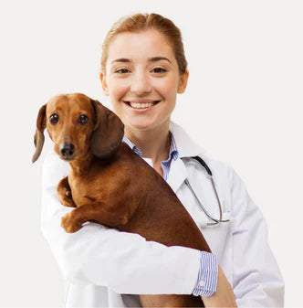 “A Simple Way to Stop Excessive Barking”